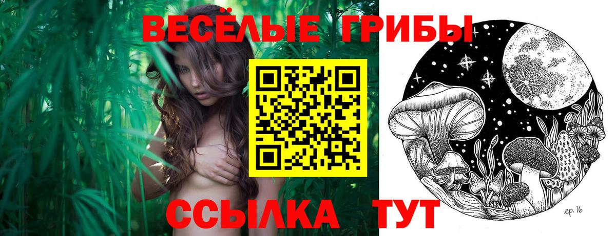 Елабуга  Псилоцибиновые грибы Magic Shrooms  Вход с VPN  Галлюциногенные грибы MAGIC MUSHROOMS 