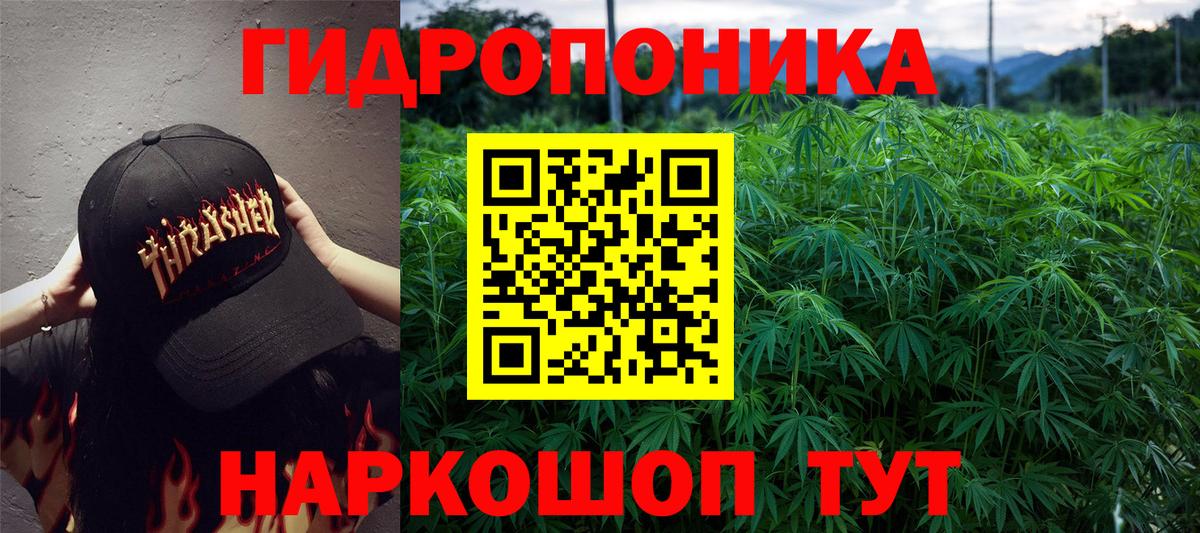 Конопля конопля Елабуга